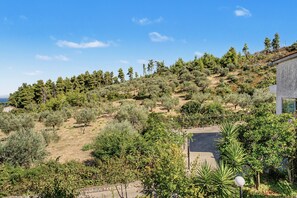 Ein Hügelhang mit dichter Vegetation und einem Gebäude auf der rechten Seite.