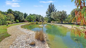 Un jardín ajardinado con un estanque, rodeado de diversos árboles y arbustos.