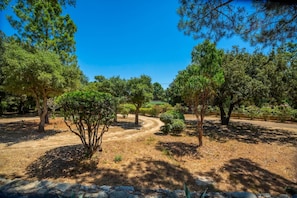 A natural landscape with a dirt path, trees, and a clear blue sky. - Villa Gioia - SAN GAVINO DI CARBINI (SAN GAVINO DI CARBINI)