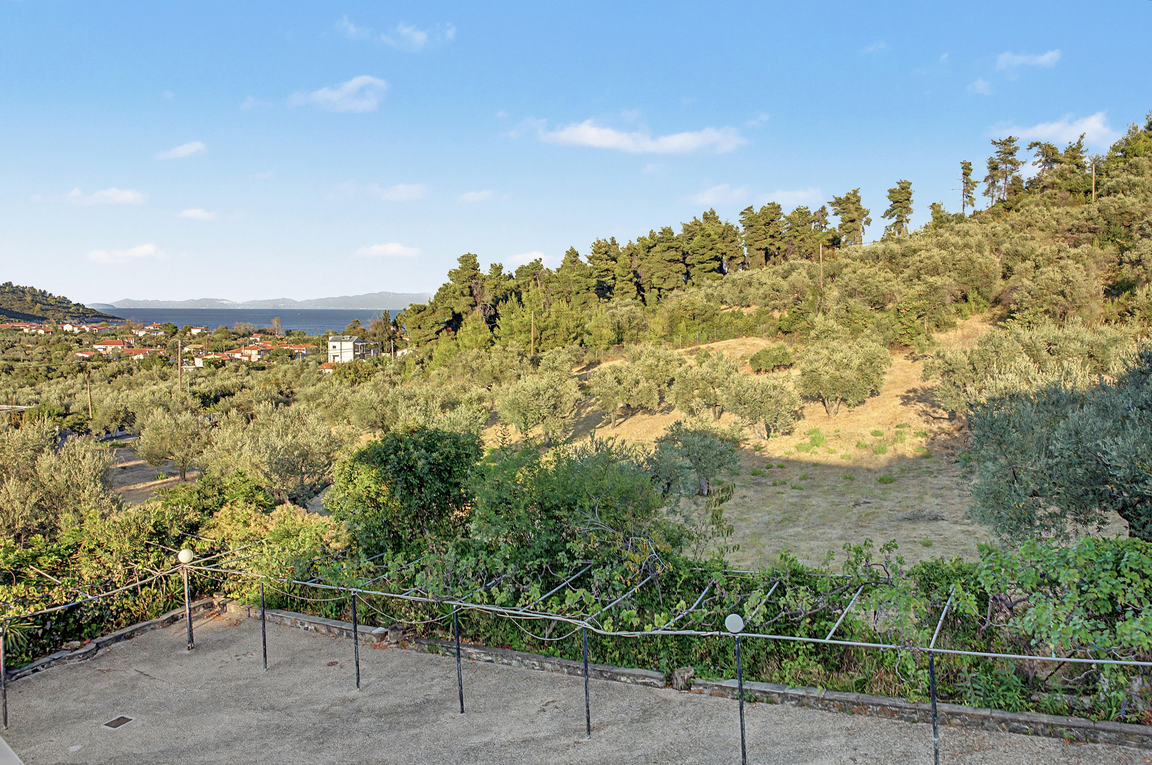 Une colline offrant une vue sur une ville côtière et un vignoble.