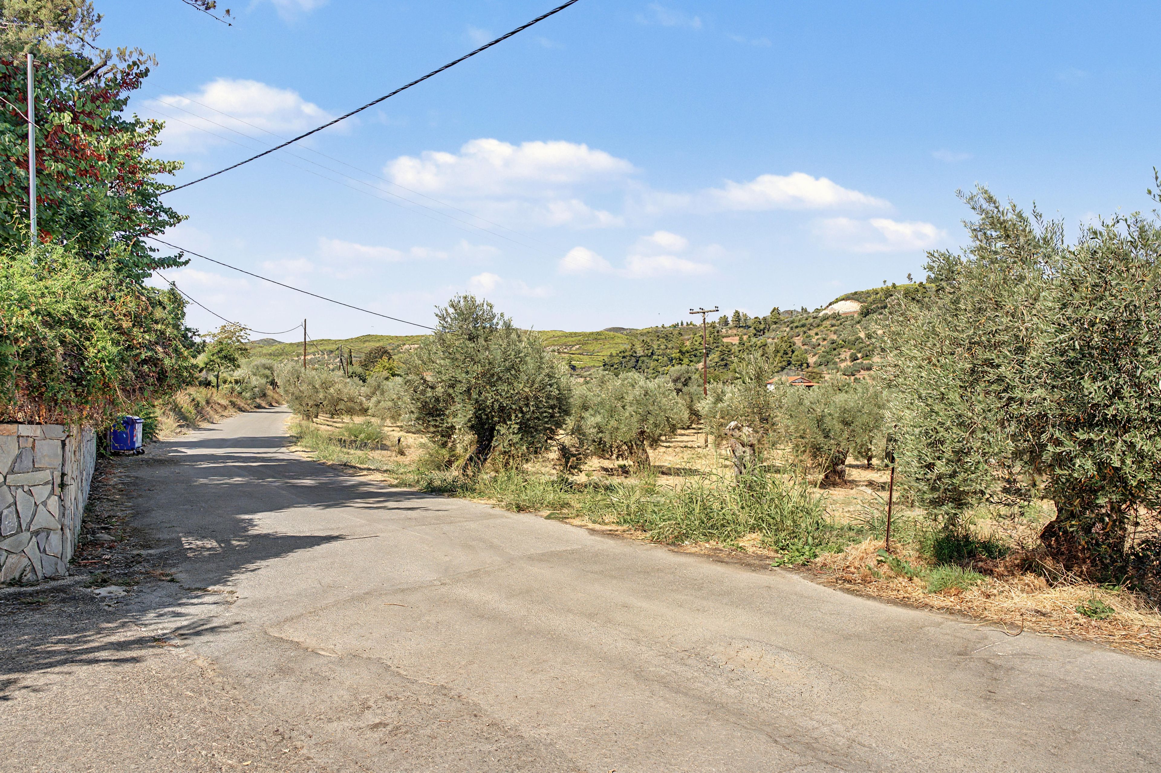 Eine ländliche Straße mit Steinmauern und Vegetation an beiden Seiten.