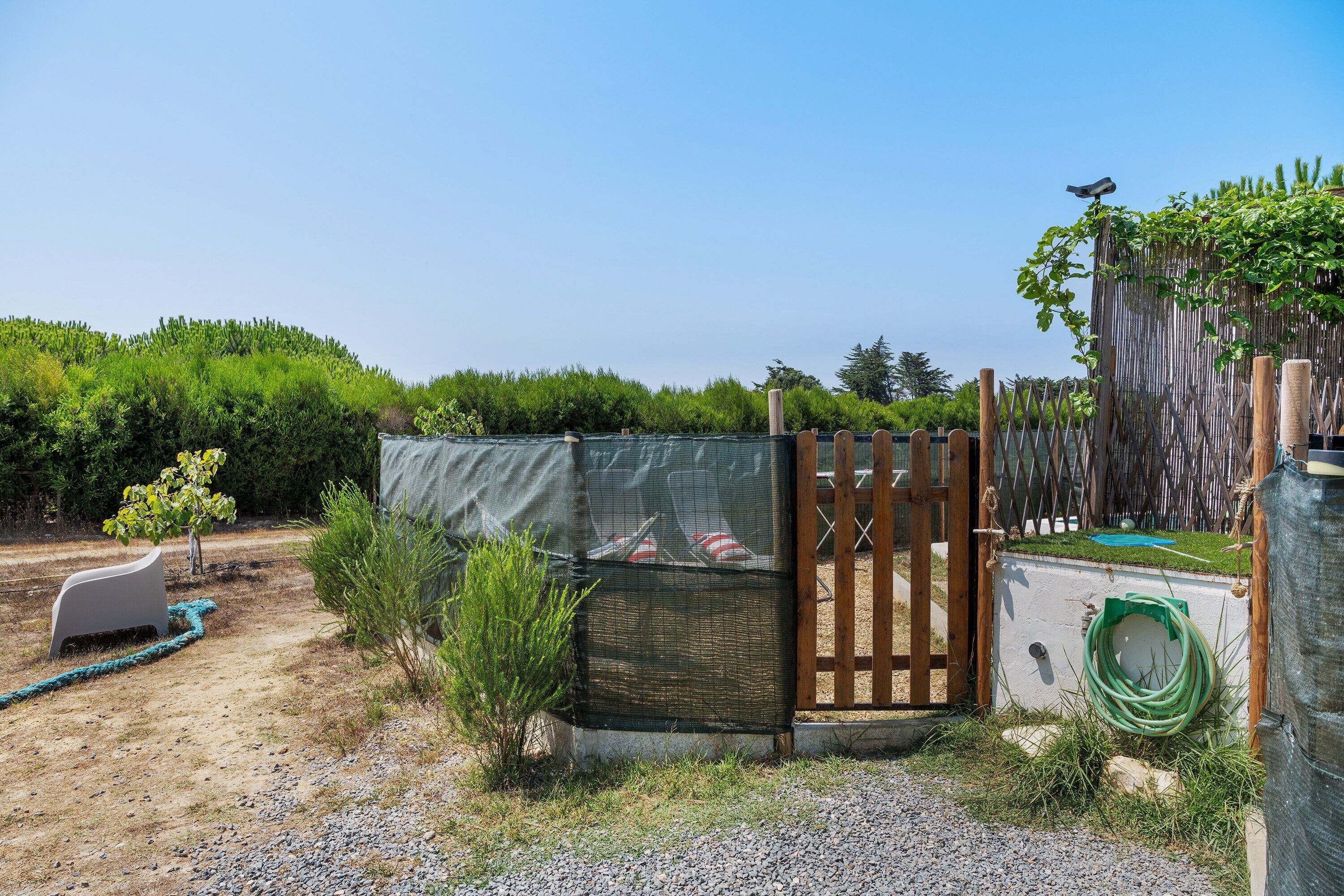 A fenced outdoor area with a gate, a small tree, a white chair, and a hose.