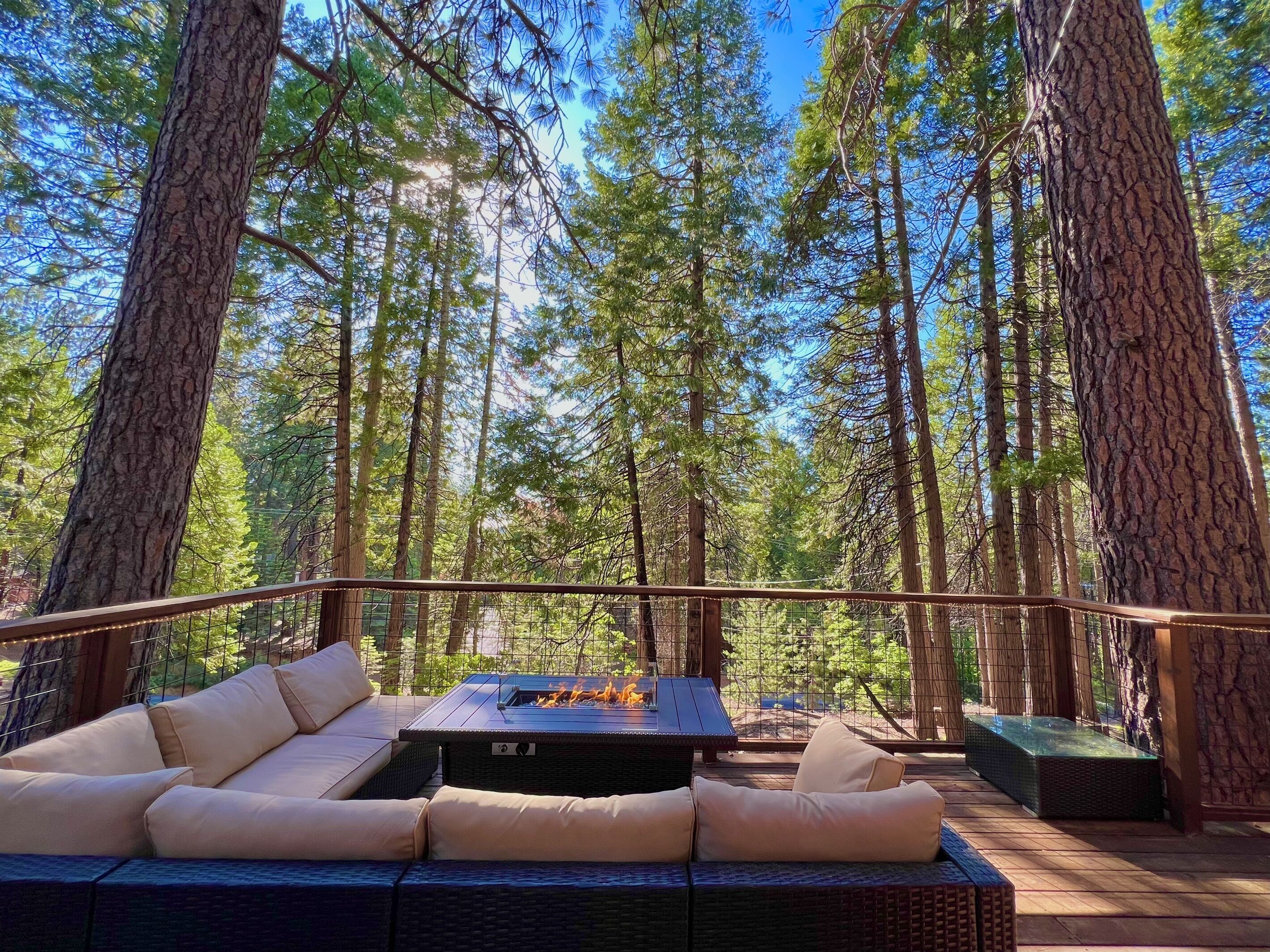 An outdoor seating area with a fire feature, surrounded by tall trees.