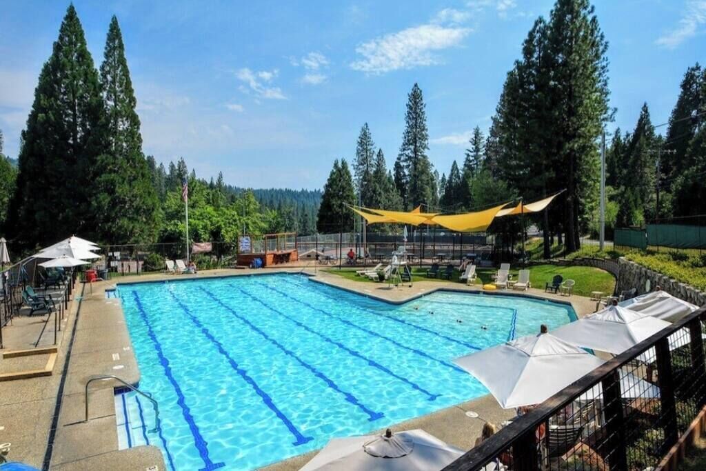A swimming pool with multiple lanes, surrounded by trees and shaded areas.