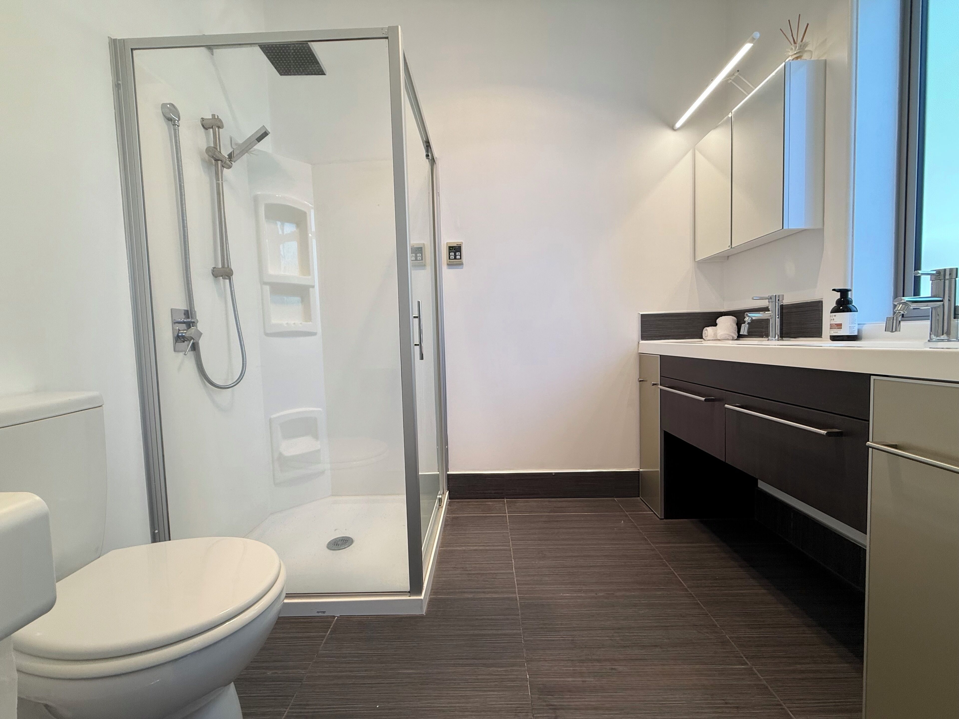 A modern bathroom with a glass-enclosed shower, a toilet, and a vanity with a mirror.