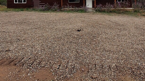 Unclassified image, 1 of 8, button - Wolf Springs Ranch (La Sal)