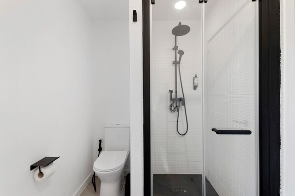A modern bathroom with a toilet, a shower with a handheld showerhead, and a toilet paper holder.