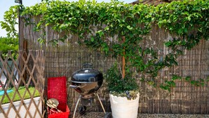 Un jardin avec une clôture en bois, un barbecue et un pot de fleurs.