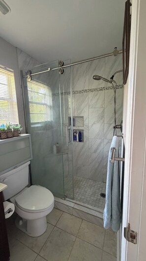 Un bagno con doccia vetro, WC e lavandino.