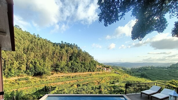 Ein Schwimmbad mit Blick auf einen Weinberg und Hügel.
