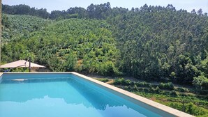 Ein rechteckiger Pool mit glasklar blauem Wasser, umgeben von einer Holzterrasse. Im Hintergrund erstreckt sich eine üppige, grüne Hügelkuppe mit dichter Vegetation.