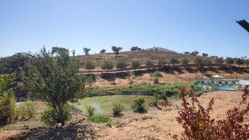 A hillside with a building, a pond, and a fenced area with chairs and umbrellas.