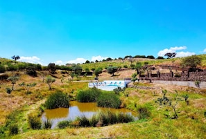 A pool area with a stone wall and a sign, surrounded by a grassy landscape with trees and a hill in the background.