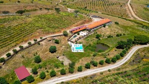 Vista aérea de un viñedo con hileras de vides, un edificio grande con techo rojo y una piscina.