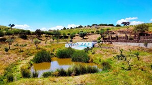 Un paisaje rural con una piscina, un muro de piedra y árboles dispersos.
