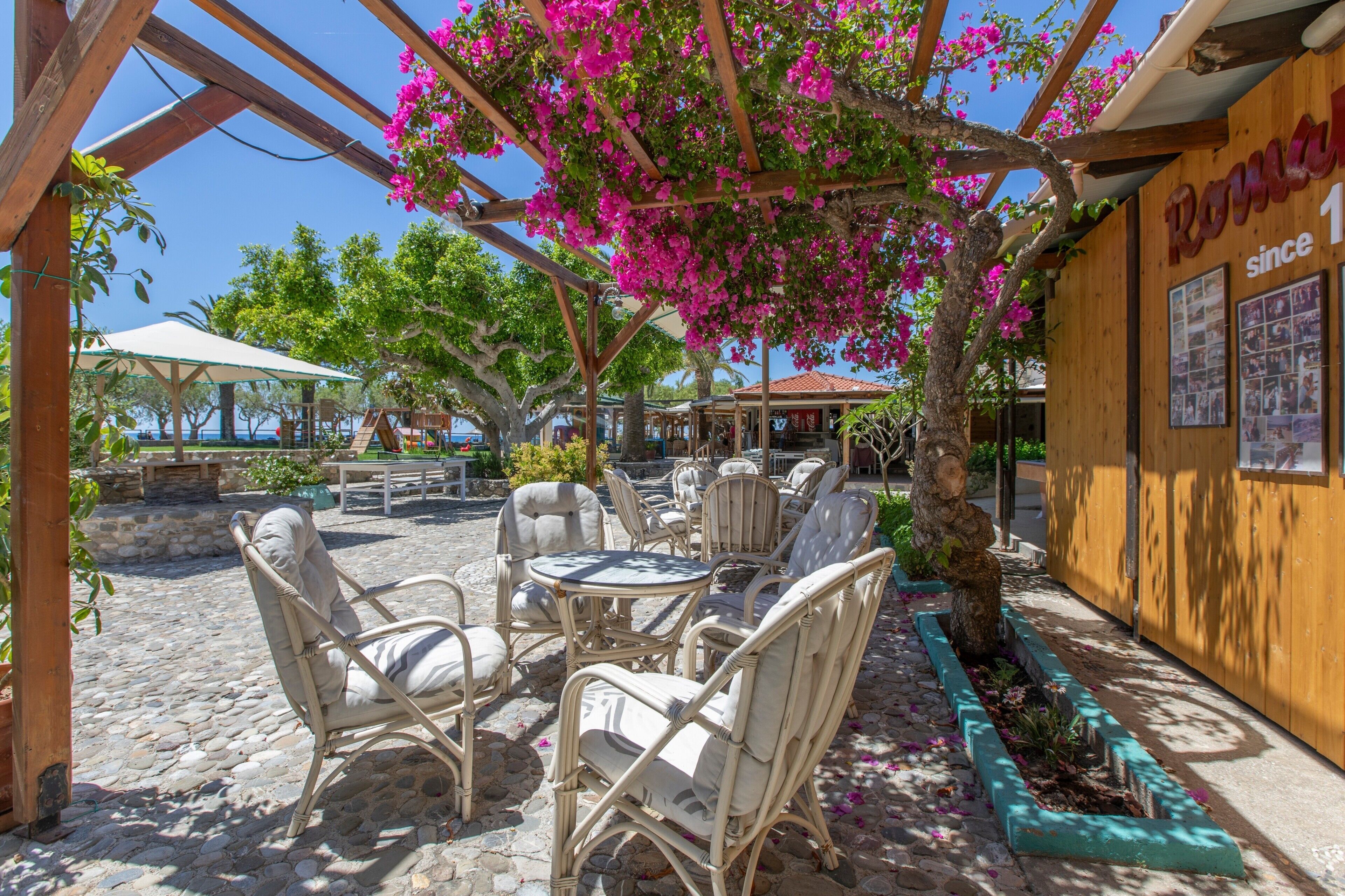 Un espace extérieur aménagé avec des chaises en osier et une table, entouré d’une pergola en bois et de fleurs de bougainvillier.