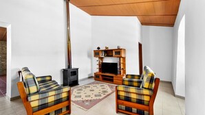 Un salon avec deux canapés à carreaux, un téléviseur, un meuble de rangement en bois et un poêle à bois.