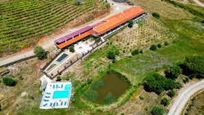 Vue aérienne d’une propriété comprenant un long bâtiment, une piscine et des vignes aménagées en terrasses.