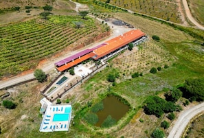 Eine Vogelperspektive eines Anwesens mit einem länglichen Gebäude, einem Swimmingpool und terrassierten Weinbergen.
