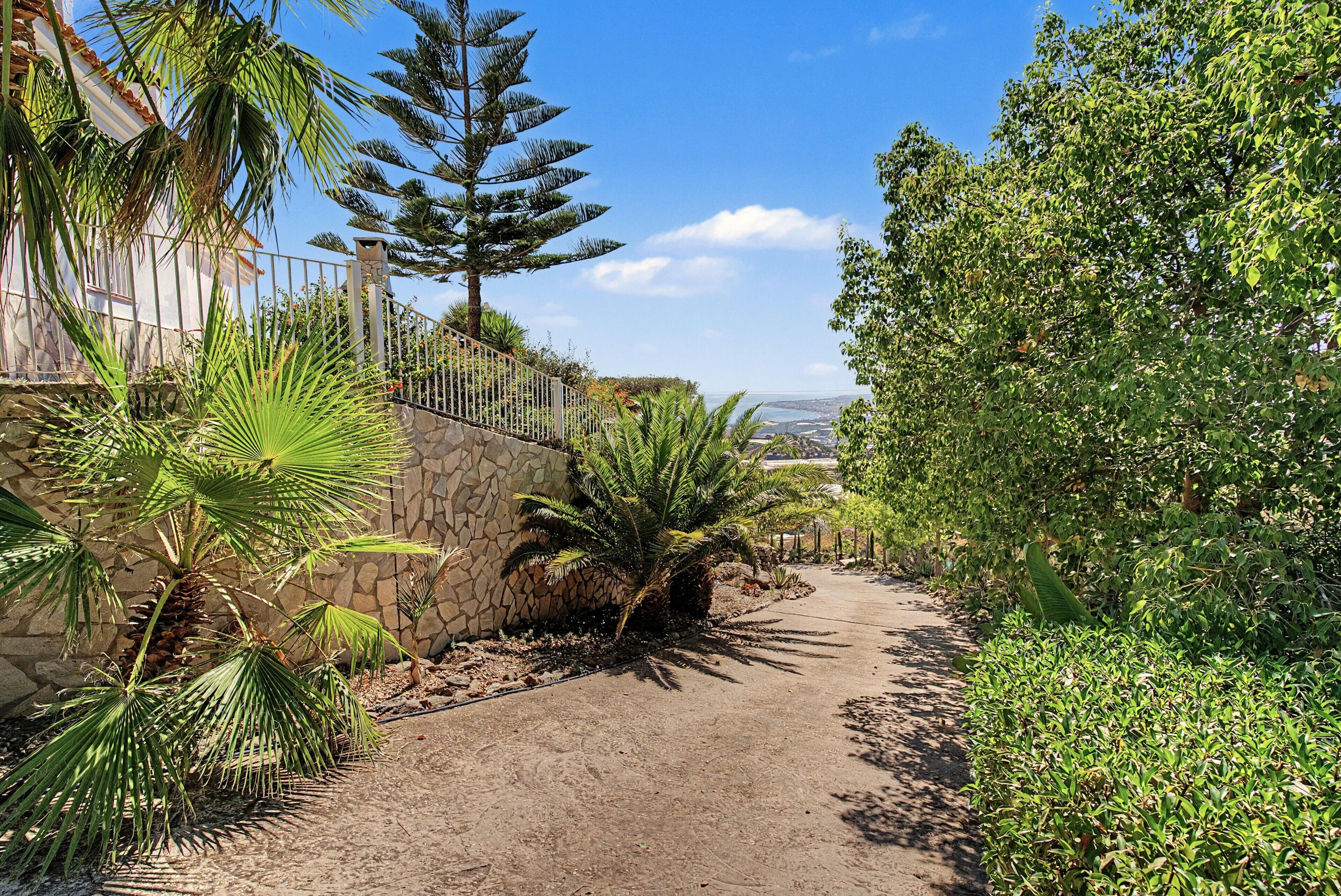 A paved pathway flanked by various plants and a stone wall.
