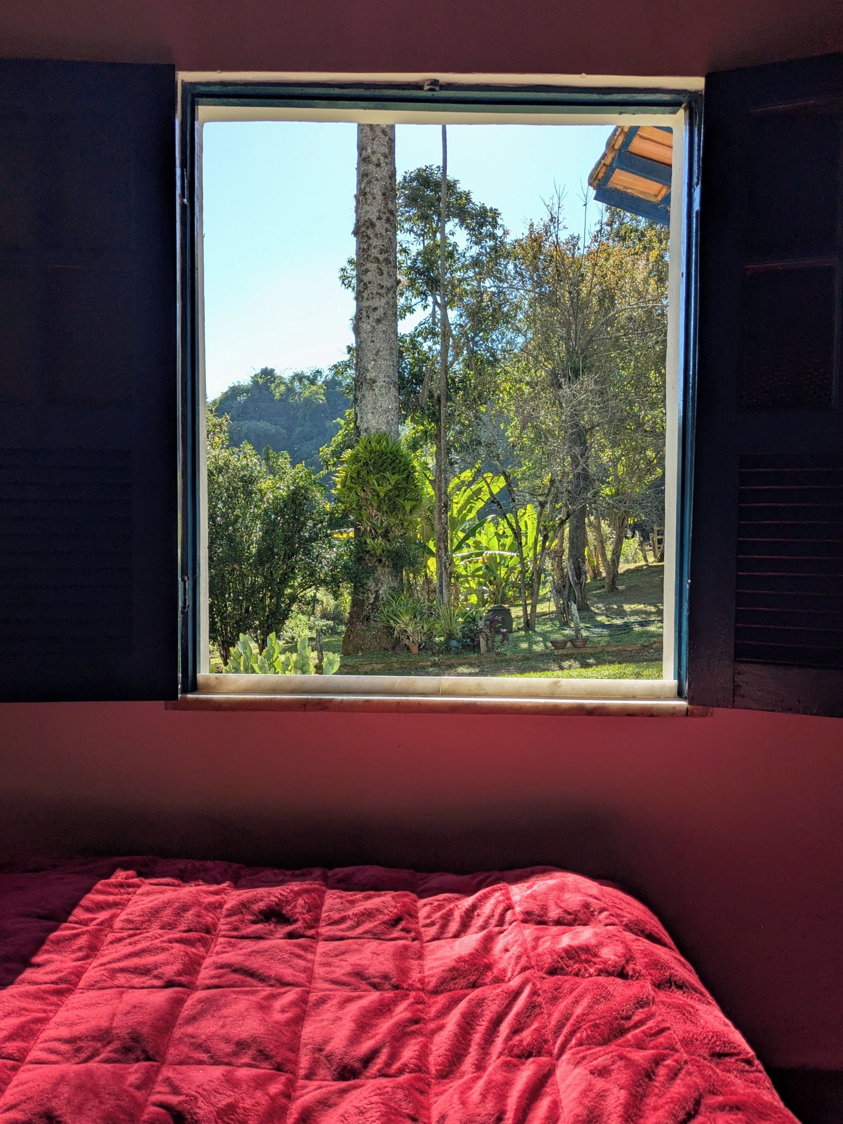 Un lit recouvert d’une couverture rouge, une fenêtre donnant sur des arbres et une montagne, et un mur peint dans une couleur sombre.