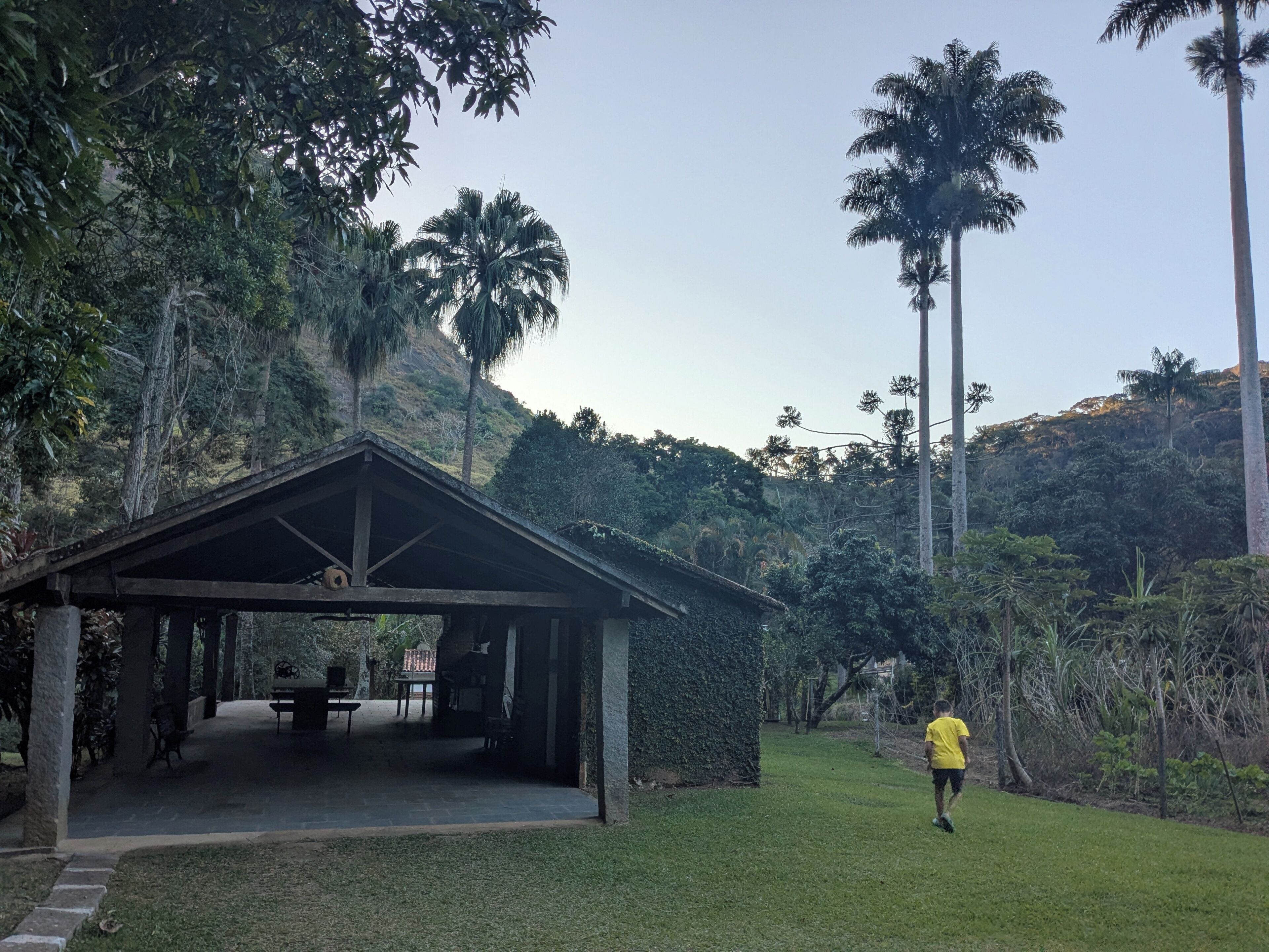 A covered outdoor area with a picnic table and benches, surrounded by lush greenery and tall palm trees.