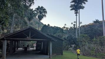 A covered outdoor area with a picnic table and benches, surrounded by lush greenery and tall palm trees.