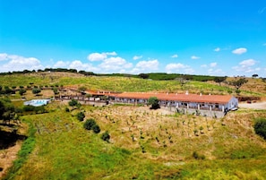 A vineyard with a building featuring a red-tiled roof and white walls.
