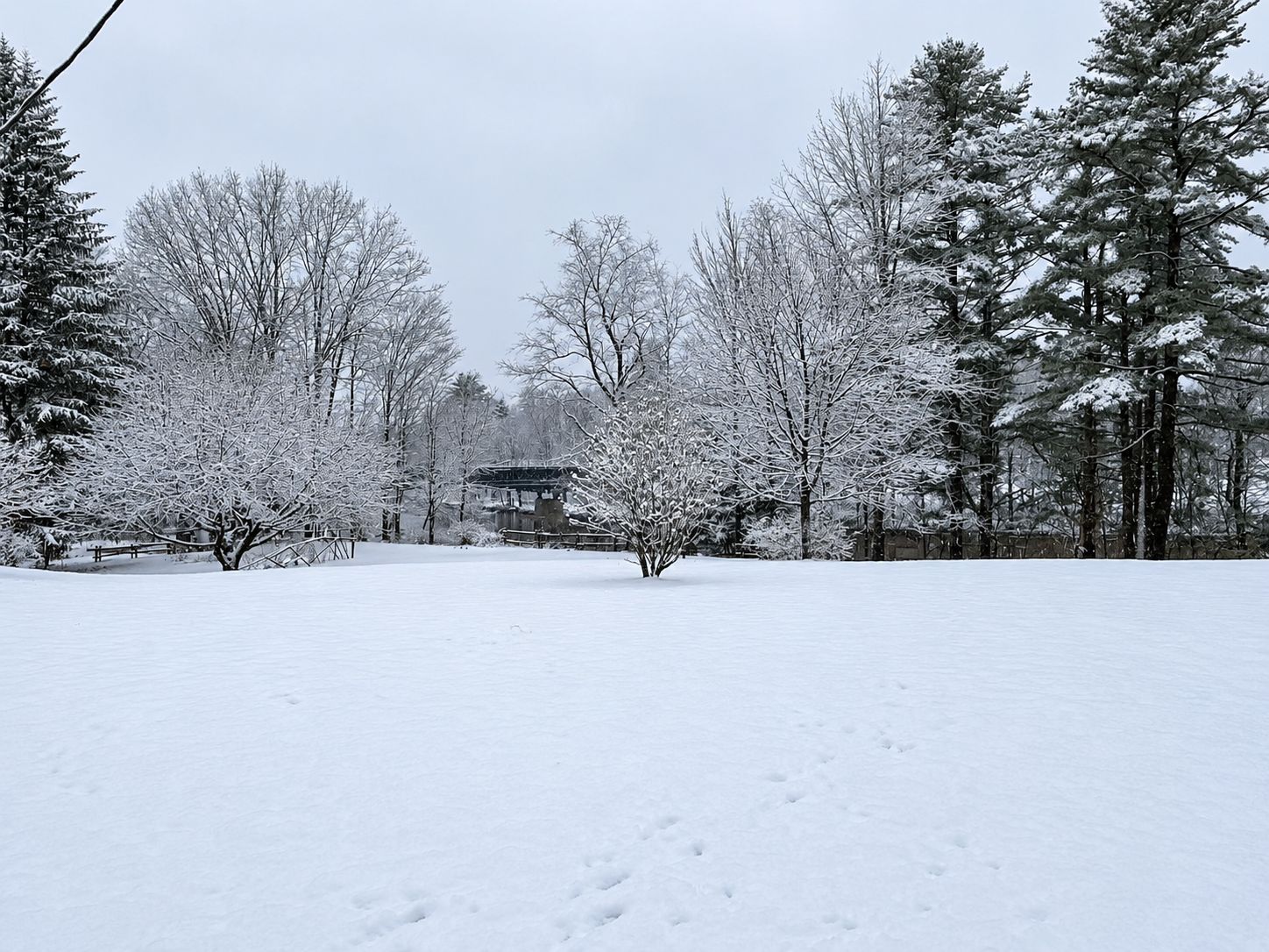 A snow-covered park with trees and a gazebo.