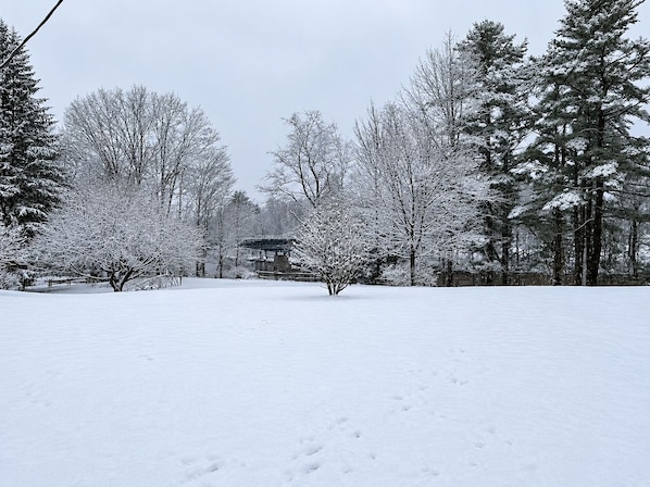 Ein verschneiter Park mit Bäumen und einem Pavillon.