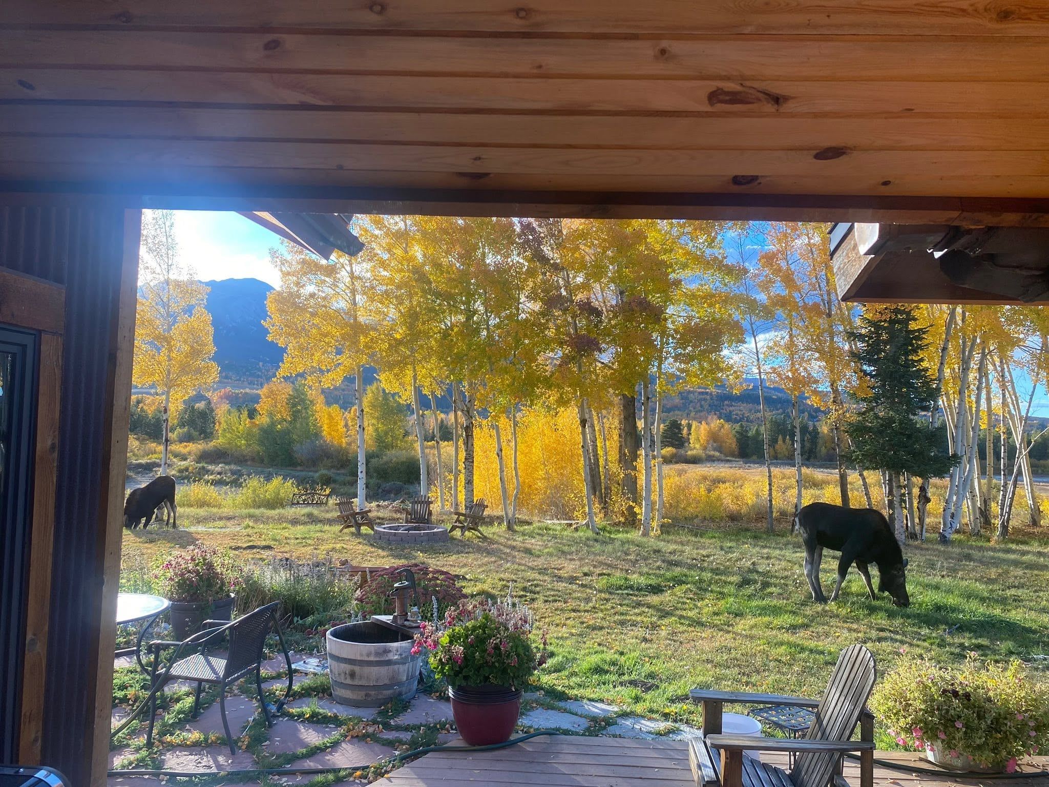 Une terrasse en bois avec des meubles d’extérieur, un foyer et une vue sur un champ verdoyant, avec des arbres et une montagne en arrière-plan.