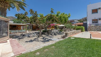A courtyard with outdoor seating, a palm tree, and a stone wall.