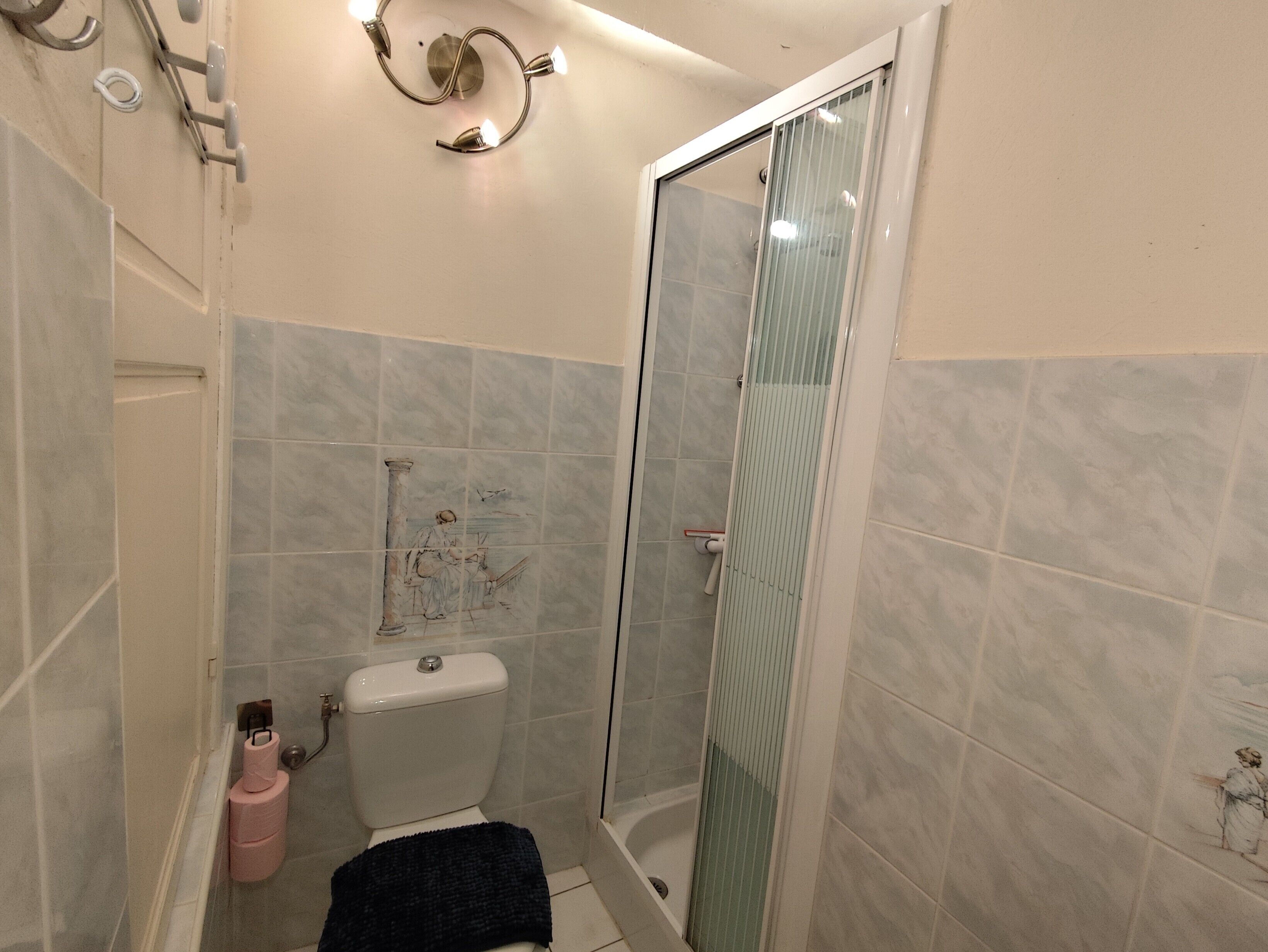 Une salle de bain avec une douche à parois de verre, des toilettes et un porte-serviettes.