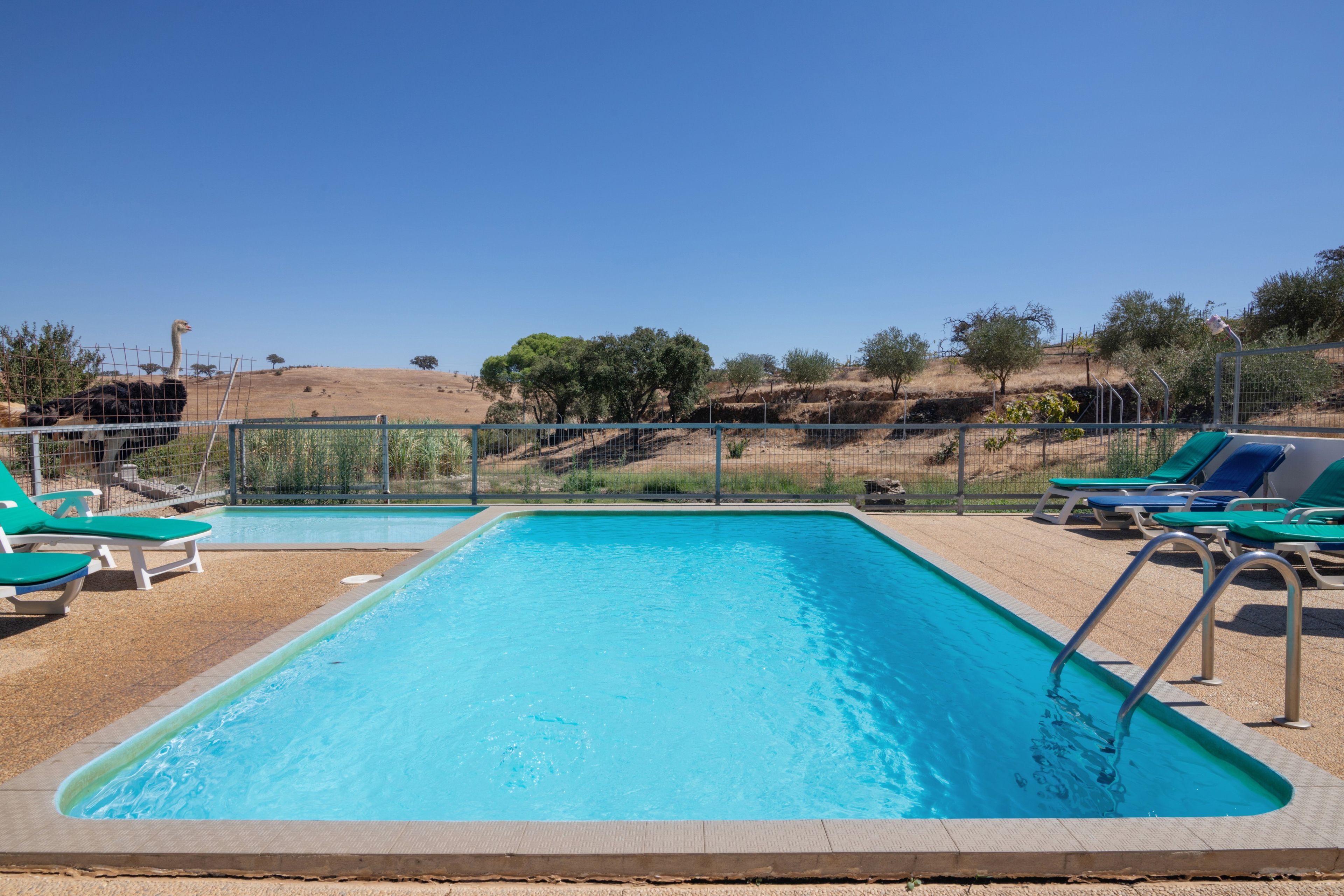 Ein Swimmingpool mit klarem, blauem Wasser, umgeben von einem Zaun und einigen Liegestühlen.