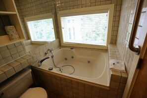 Une salle de bain avec une baignoire, des toilettes et deux fenêtres.