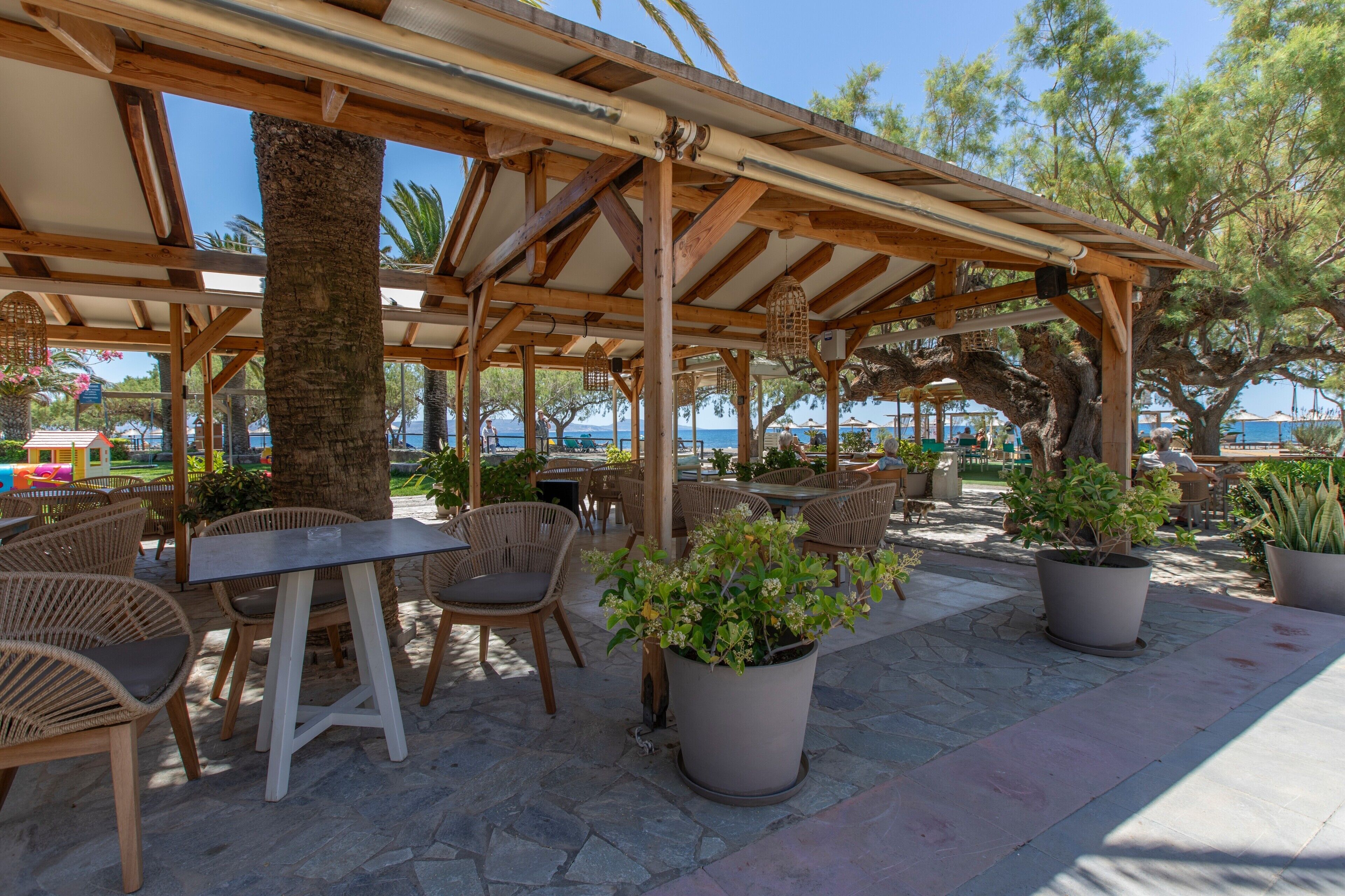 An outdoor patio with wooden tables and chairs, surrounded by potted plants and trees.