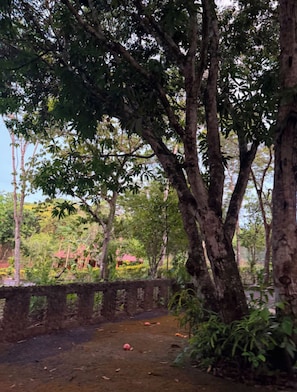 A natural landscape with trees and a stone wall.
