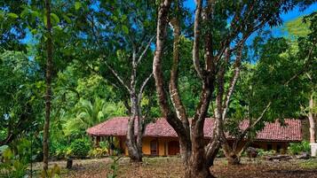 A tree-lined area with a building featuring a red-tiled roof.