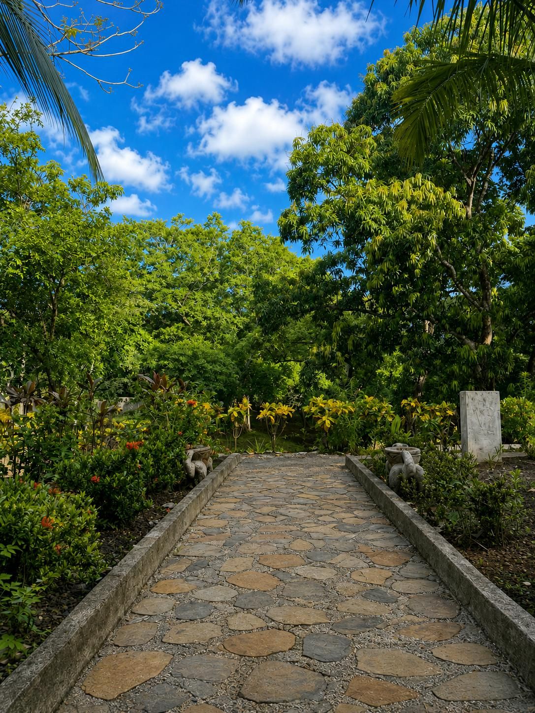 A stone pathway leading through a lush garden with various plants and trees.