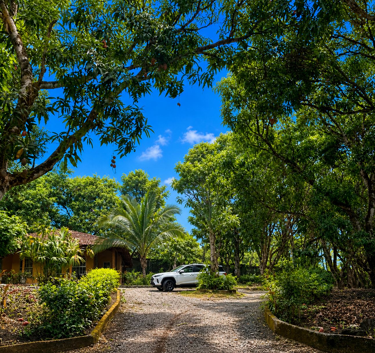 A gravel driveway leading to a white car parked in a lush, green garden with trees and a small building in the background.