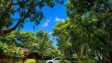 A gravel driveway leading to a white car parked in a lush, green garden with trees and a small building in the background.