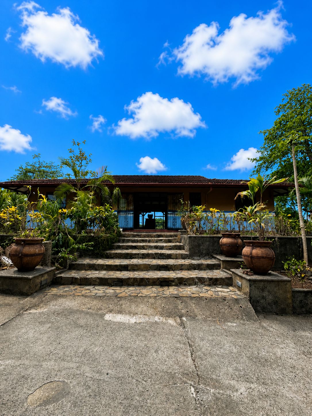 A building with a tiled roof, a staircase leading to a covered entrance, and potted plants around the steps.