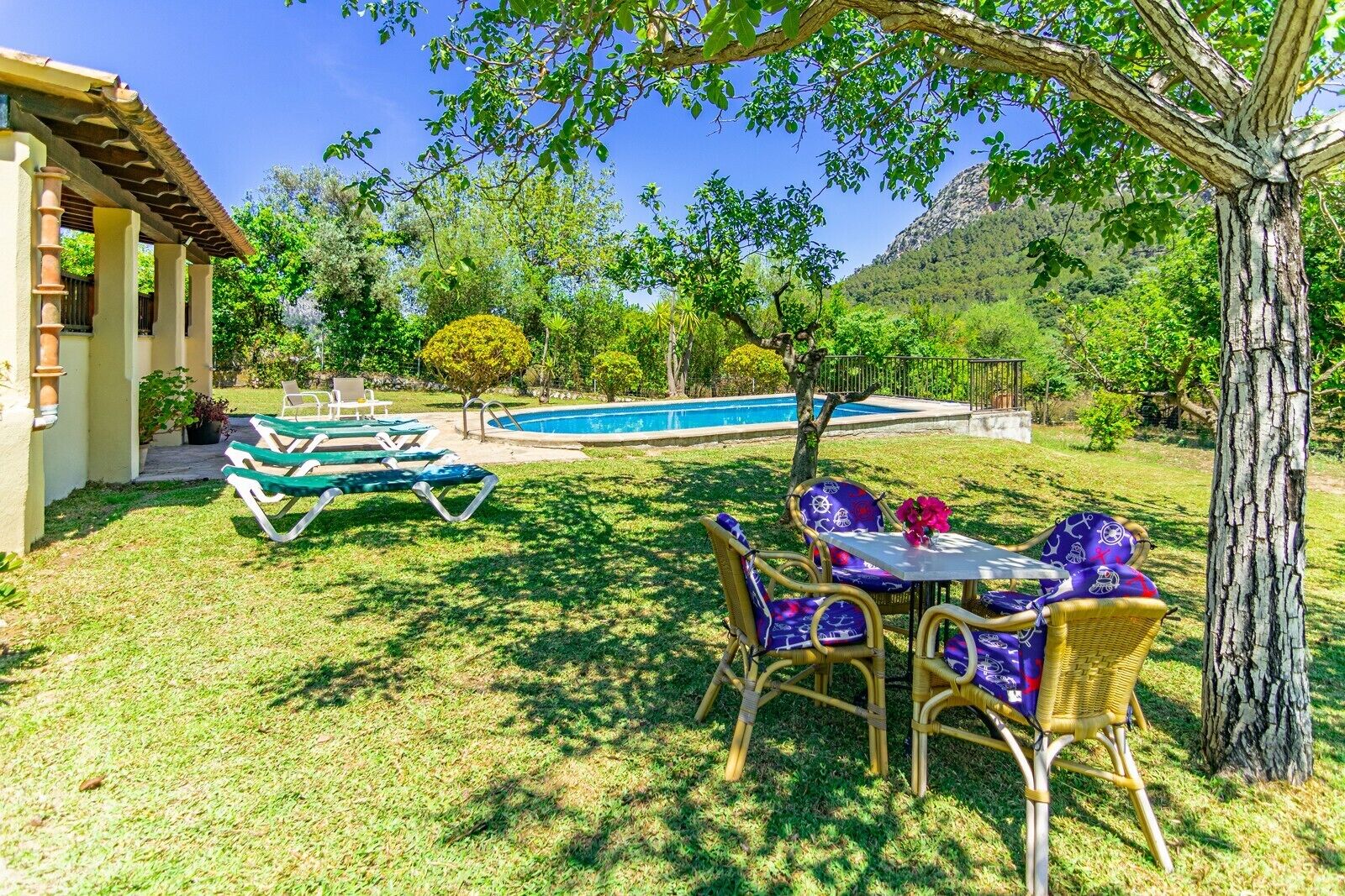 A pool area with lounge chairs and a table, surrounded by greenery and trees.