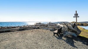 Ein Strand mit Treibholz, einer Bank und einem Wegweiser.