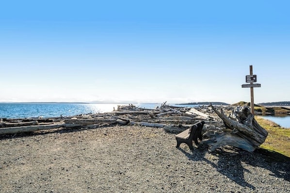 A beach with driftwood, a bench, and a signpost.