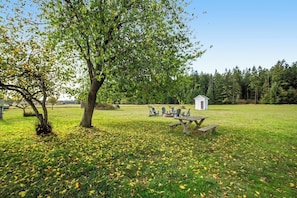 A picnic area with a table and chairs, surrounded by grass and trees.