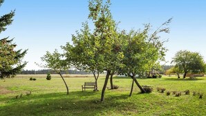 Ein Park mit einer Bank und Bäumen.