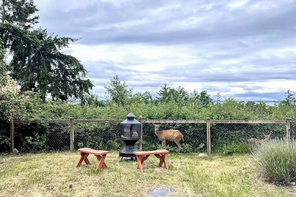 A fenced outdoor area with picnic tables and a wood-burning stove.