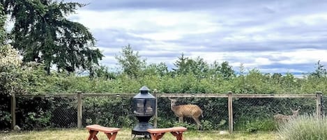 Espacio exterior cercado con mesas de picnic y un estufa de leña.