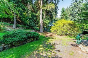 A forested area with a dirt path leading to a house.